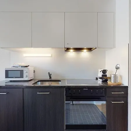 Bright And Luminous 2-bedroom-flat In Downtown Appartement