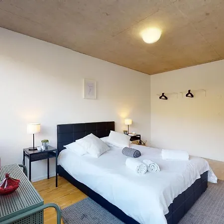 Bright And Luminous 2-bedroom-flat In Downtown * Sion