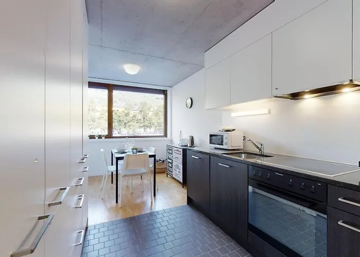 Appartement Bright And Luminous 2-bedroom-flat In Downtown Sion